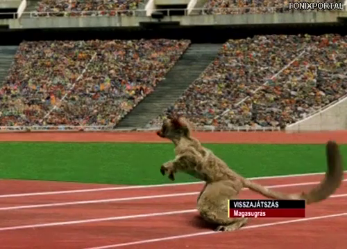 Állatvilág bajnokai 1 - állat olimpia (2004)