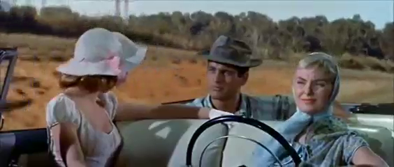 Hosszú, forró nyár    (1958)