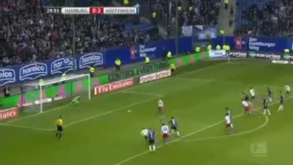 Hamburg vs Hoffenheim - Goal by A. Hunt (30')