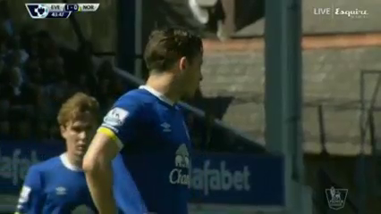 Everton vs Norwich - Gól de L. Baines (44min)