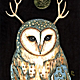nemescitera