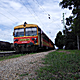 BZmot299