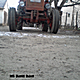 claas55