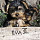 lukacs.eva63