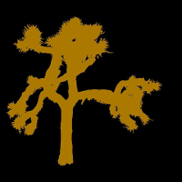 Joshua Tree U2 Tribute