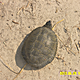 totya1216_1