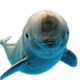 szorftabor7