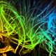 soltbrain