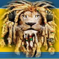 Lions-Radio