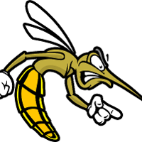 Mosquito Design