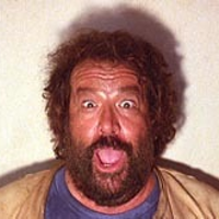 Bull Webster