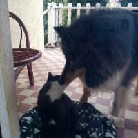 Barka&Klio