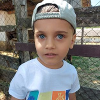 palfi.3