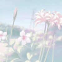 yyoursoftness