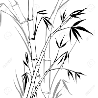 whitebamboo