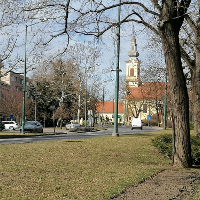Rakovics Tamás