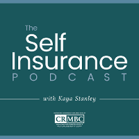Self-Insurance Podcast with Ka