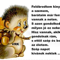 Dodofilmjei