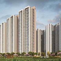 prestigesouthernstarr