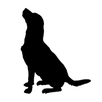 Bl@ck Dog