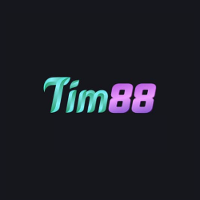tim88biz