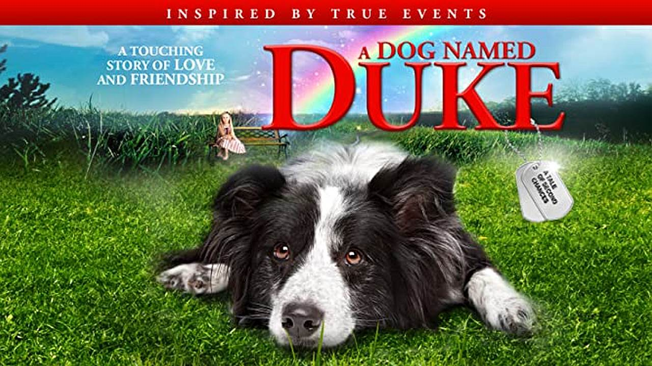 Kutyám Duke - 2012, dráma - Videa