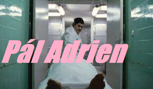 Pál Adrien