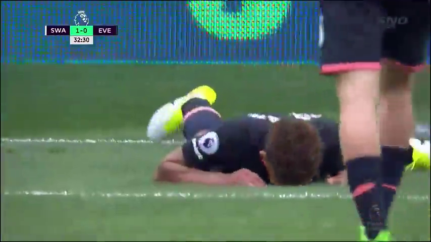 Суонси Сити - Эвертон 1:0 видео