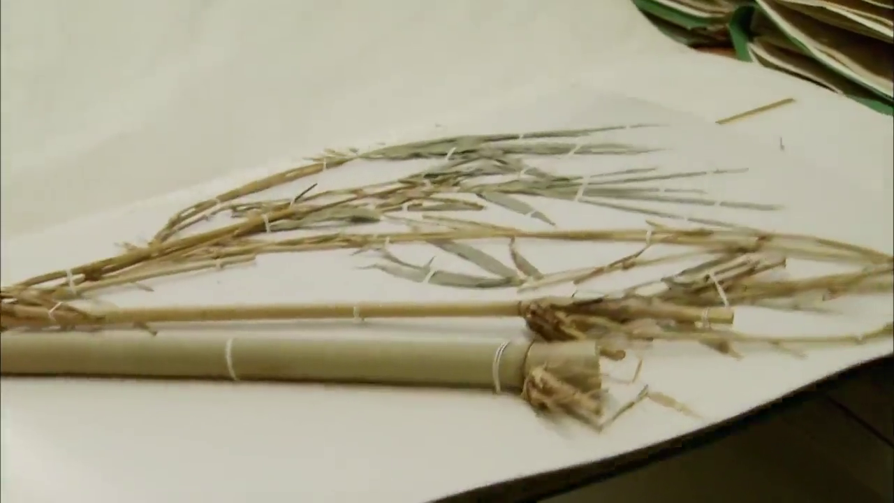 Catching Killers S02E07 Plant Evidence, (2013), bizonyíték, catching