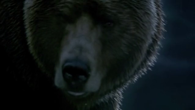 A grizzly birodalma (2014)