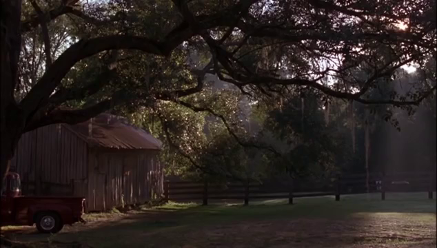 Álom fiú, film, homoszexualitás, meleg