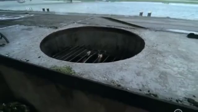 Alarm.Fur.Cobra.11. - Videa