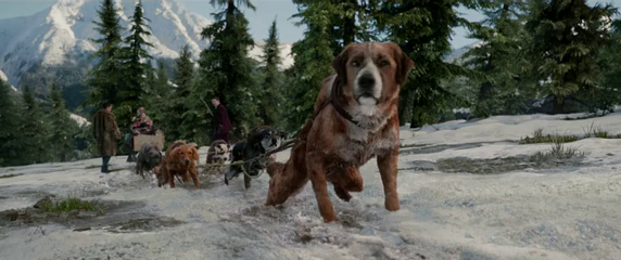 A vadon hívószava (2020), dráma/kaland