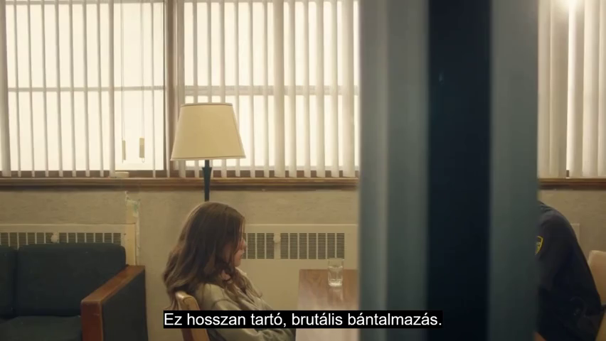 the abduction of lisa mcvay