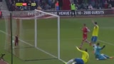 Саутгемптон - Ньюкасл 4:0 видео