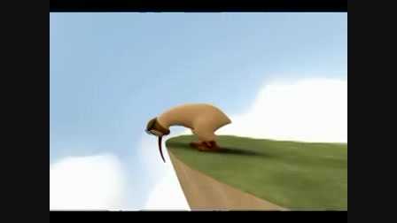Kiwi!, boldogság, kiwi, madár - Videa