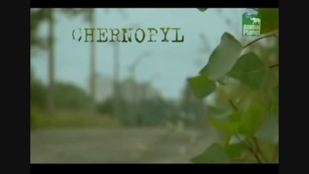 Csernobil új szarkofágja 1,6 millió, atom, csernobil, katasztrófa - Videa